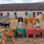 Day Care Outside